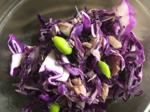 deli風紫キャベツとツナのサラダ
